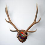 Elk Antler Mount | Sedona | 25