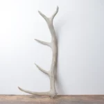 Elk Antler | Small Size | 133