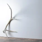 Elk Antler | Small Size | 90